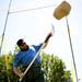 Alabama resident Mark Medlock competes in the Sheaf Toss at 22 feet at the Saline Celtic Festival on Saturday, July 13. Daniel Brenner I AnnArbor.com